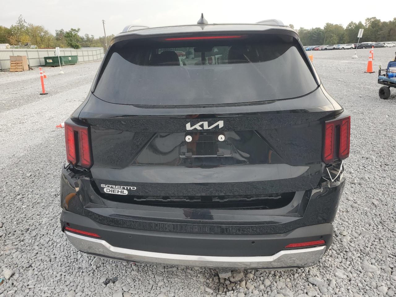 2025 Kia Sorento Ex VIN: 5XYRH4JF3SG324390 Lot: 81466605