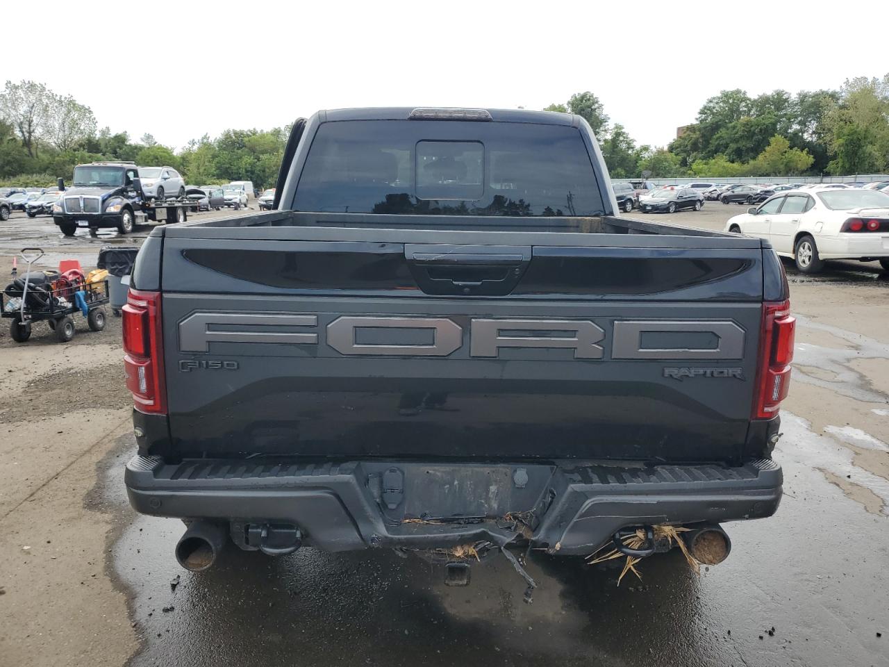2019 Ford F150 Raptor VIN: 1FTFW1RG9KFB67813 Lot: 72053425