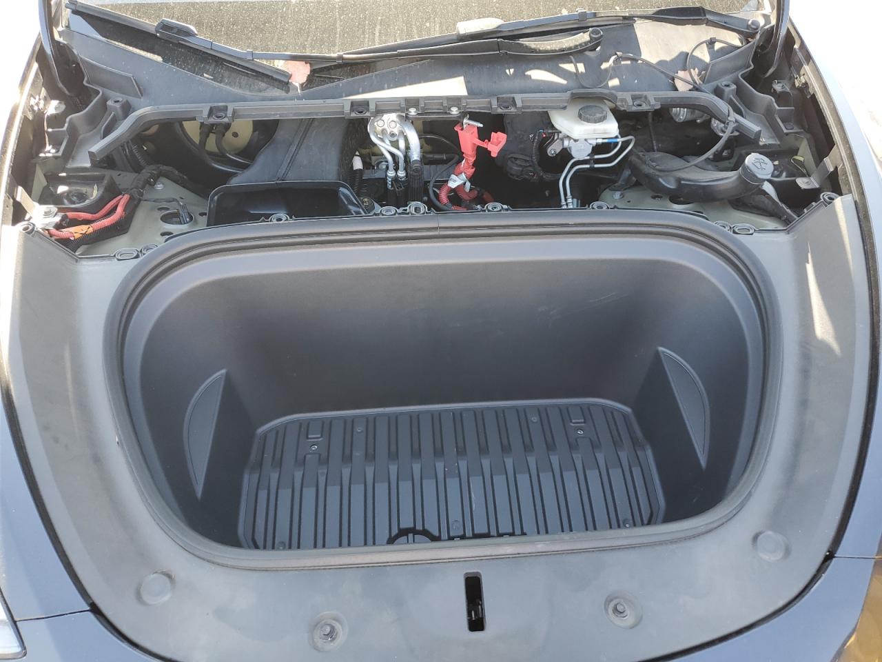 2024 Tesla Model Y VIN: 7SAYGDED0RF097073 Lot: 83821235