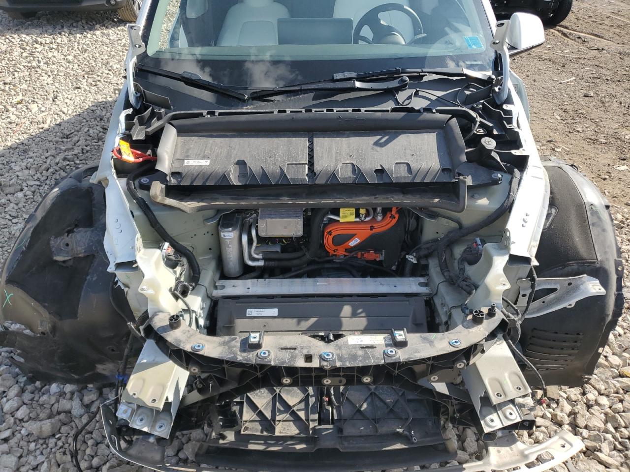 2023 Tesla Model Y VIN: 7SAYGDEE5PF826495 Lot: 71681245