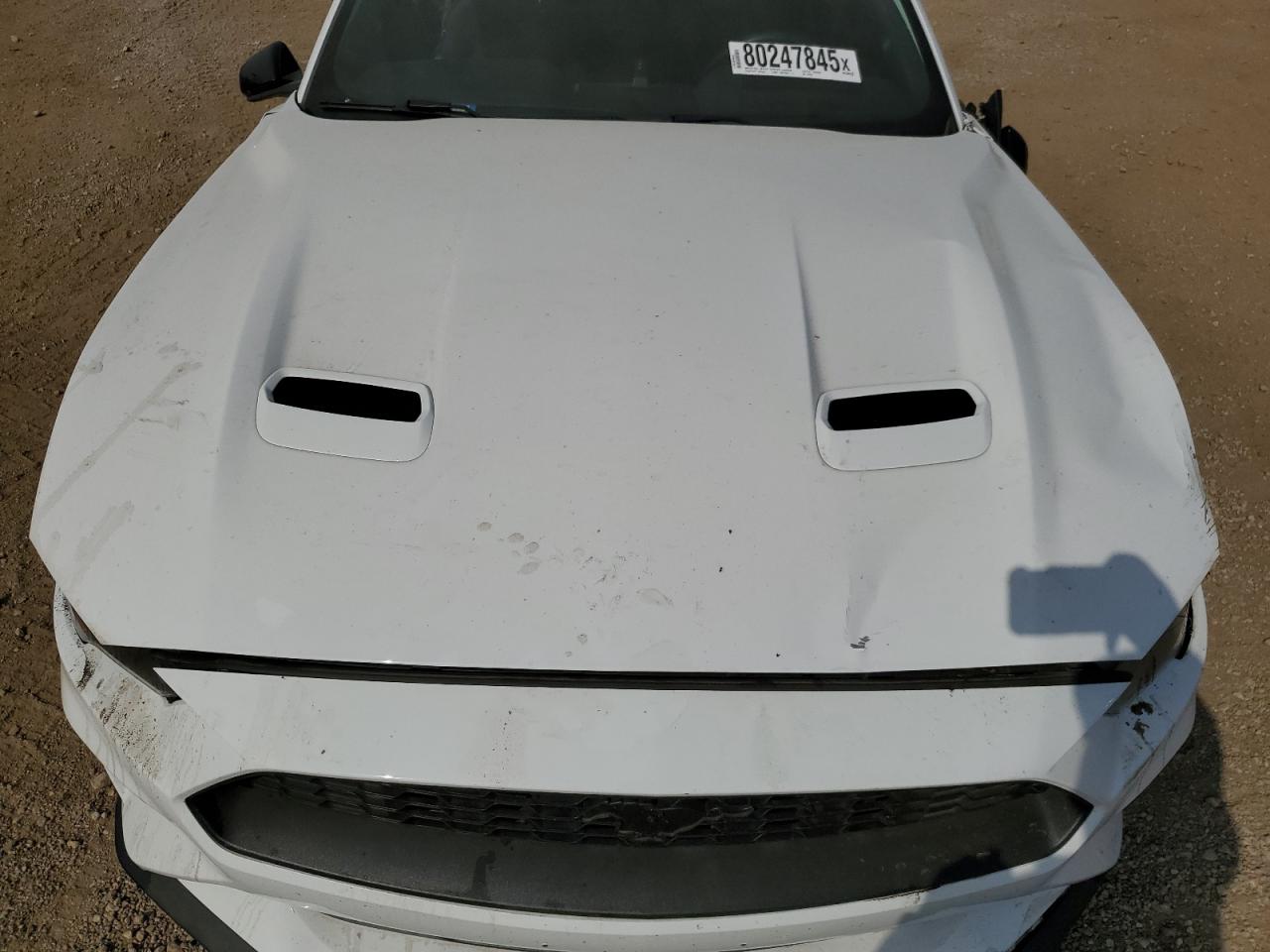 2021 Ford Mustang VIN: 1FA6P8TH6M5146438 Lot: 80247845