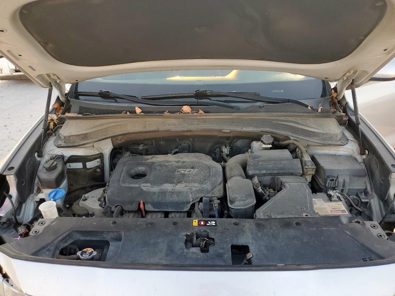 2020 Hyundai Santa Fe Se VIN: 5NMS2CAD5LH158778 Lot: 80143875