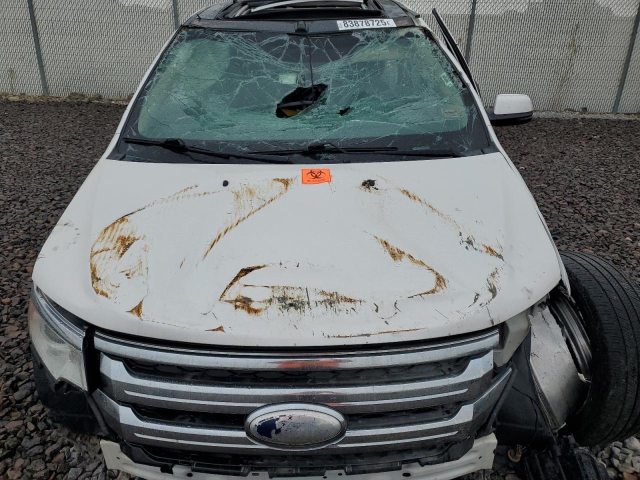 2013 Ford Edge Sel VIN: 2FMDK3JC9DBC06018 Lot: 83878725