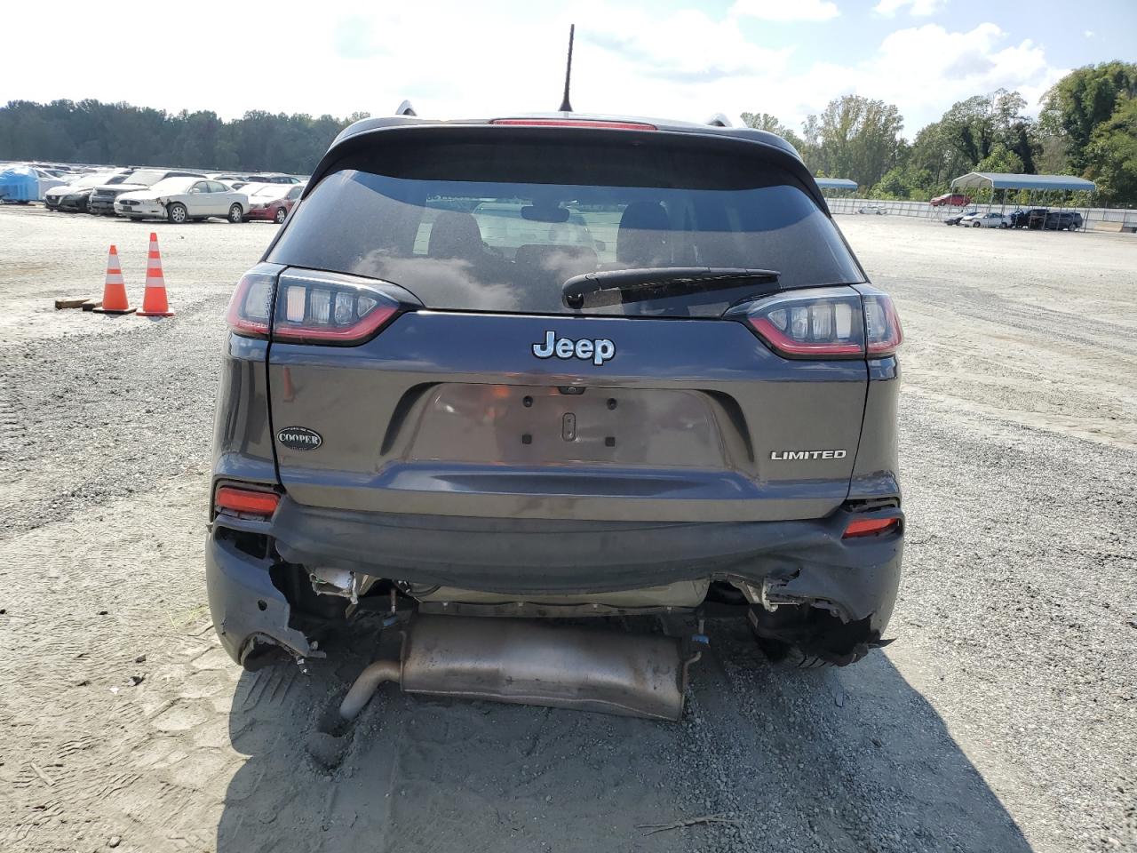 2020 Jeep Cherokee Limited VIN: 1C4PJLDB6LD618607 Lot: 81607735