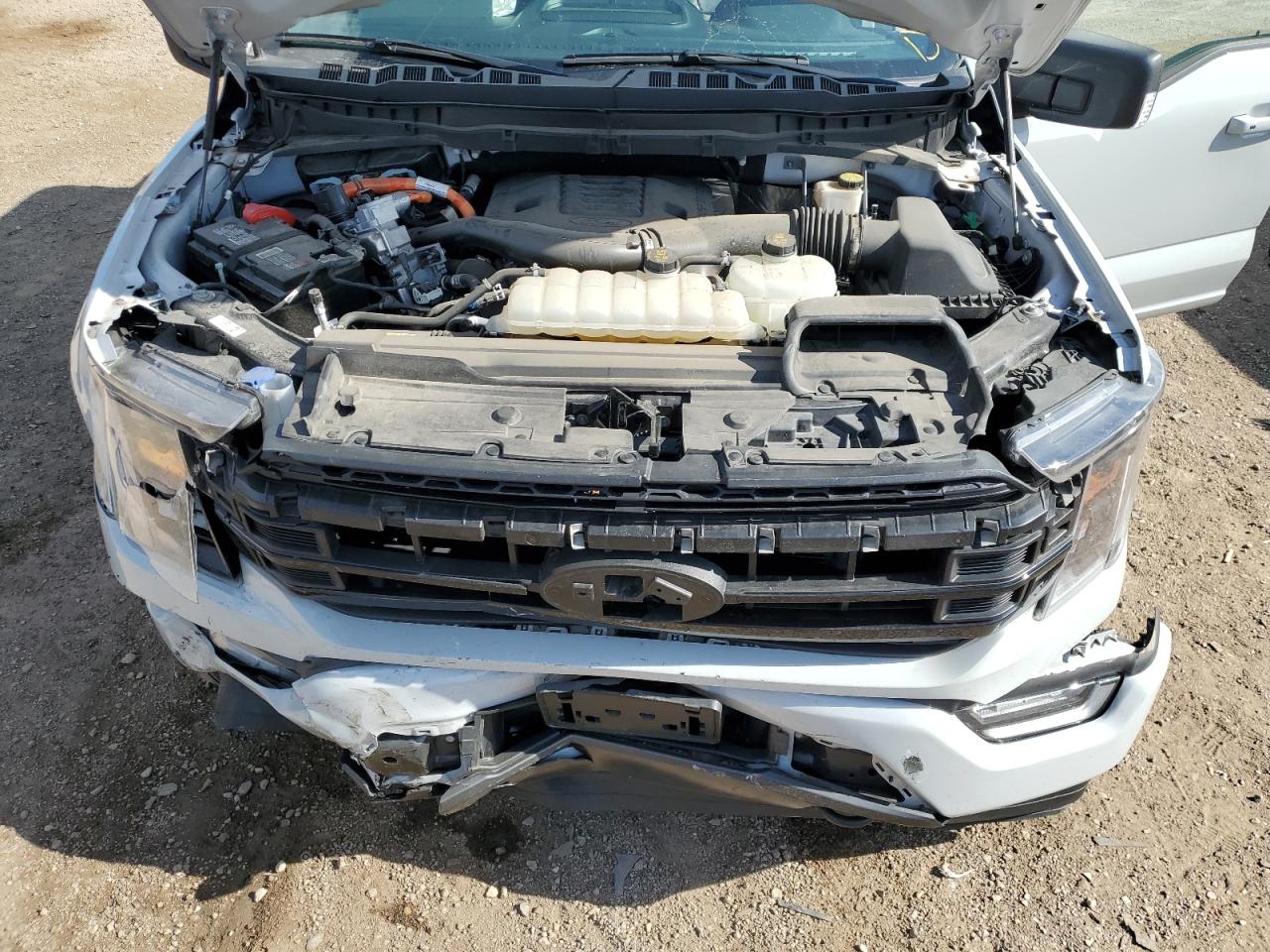 2023 Ford F150 Supercrew VIN: 1FTFW1ED9PFC62519 Lot: 84040605