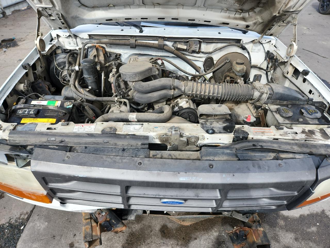 1995 Ford F150 VIN: 2FTEF15N9SCA29474 Lot: 81256775