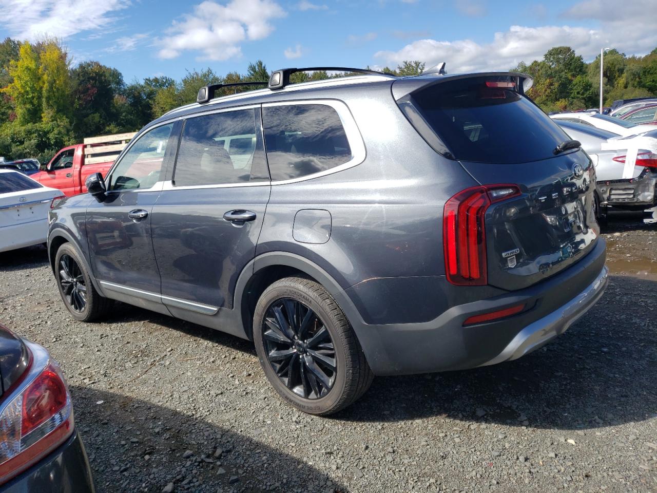 2020 Kia Telluride Sx VIN: 5XYP5DHCXLG038341 Lot: 84280905