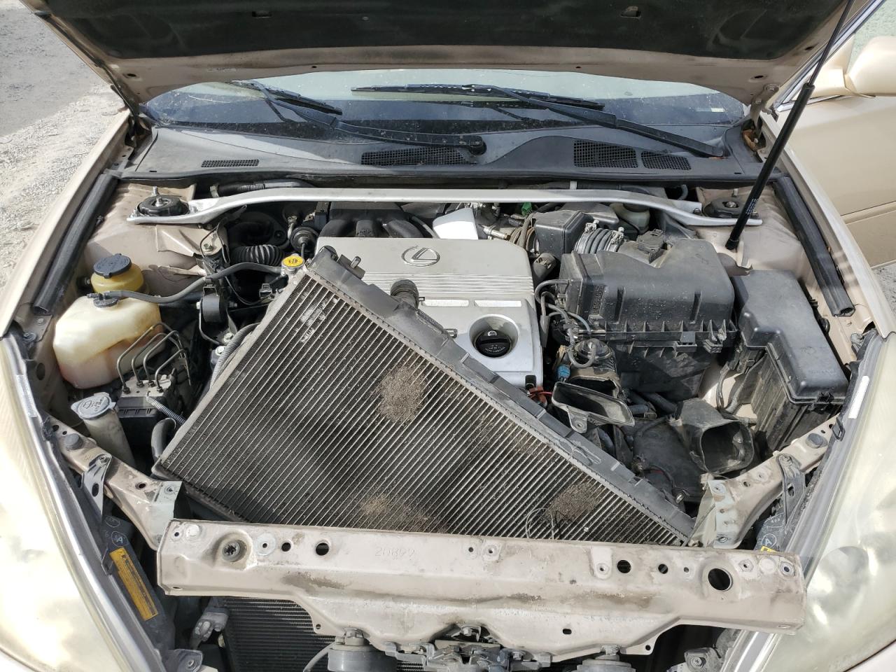 2004 Lexus Es 330 VIN: JTHBA30G645037839 Lot: 72100035