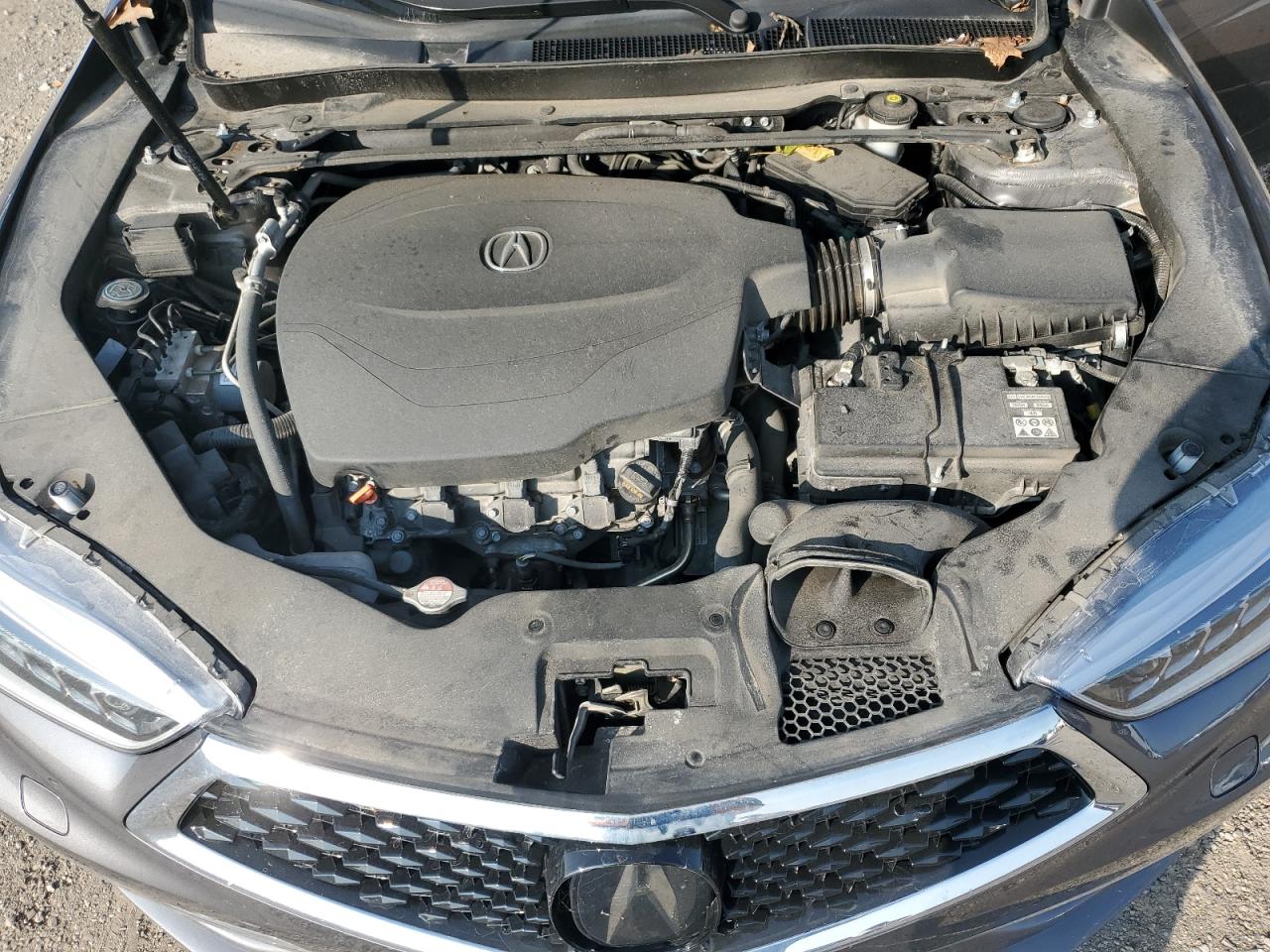 2019 Acura Tlx Technology VIN: 19UUB3F5XKA800979 Lot: 71964545