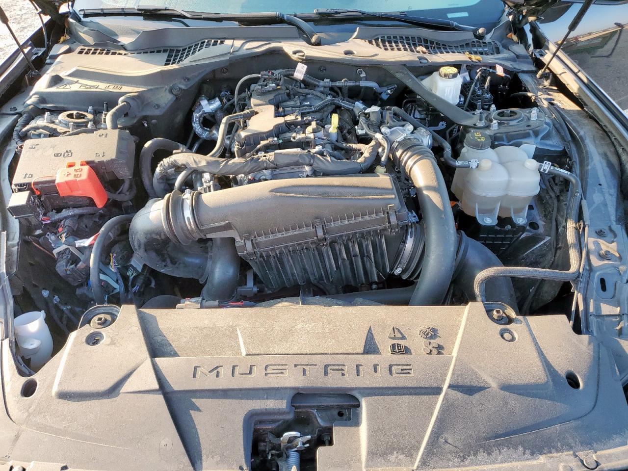 2024 Ford Mustang VIN: 1FAGP8UHXR5118989 Lot: 80583135