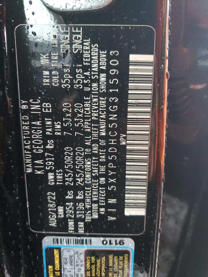 2022 Kia Telluride Sx VIN: 5XYP5DHC5NG315903 Lot: 81562215