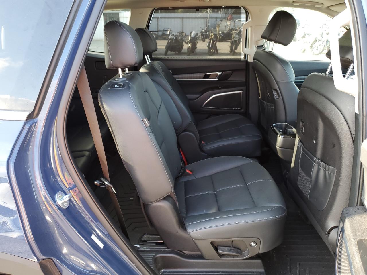 2023 Kia Telluride Sx VIN: 5XYP54GC1PG357165 Lot: 80310905