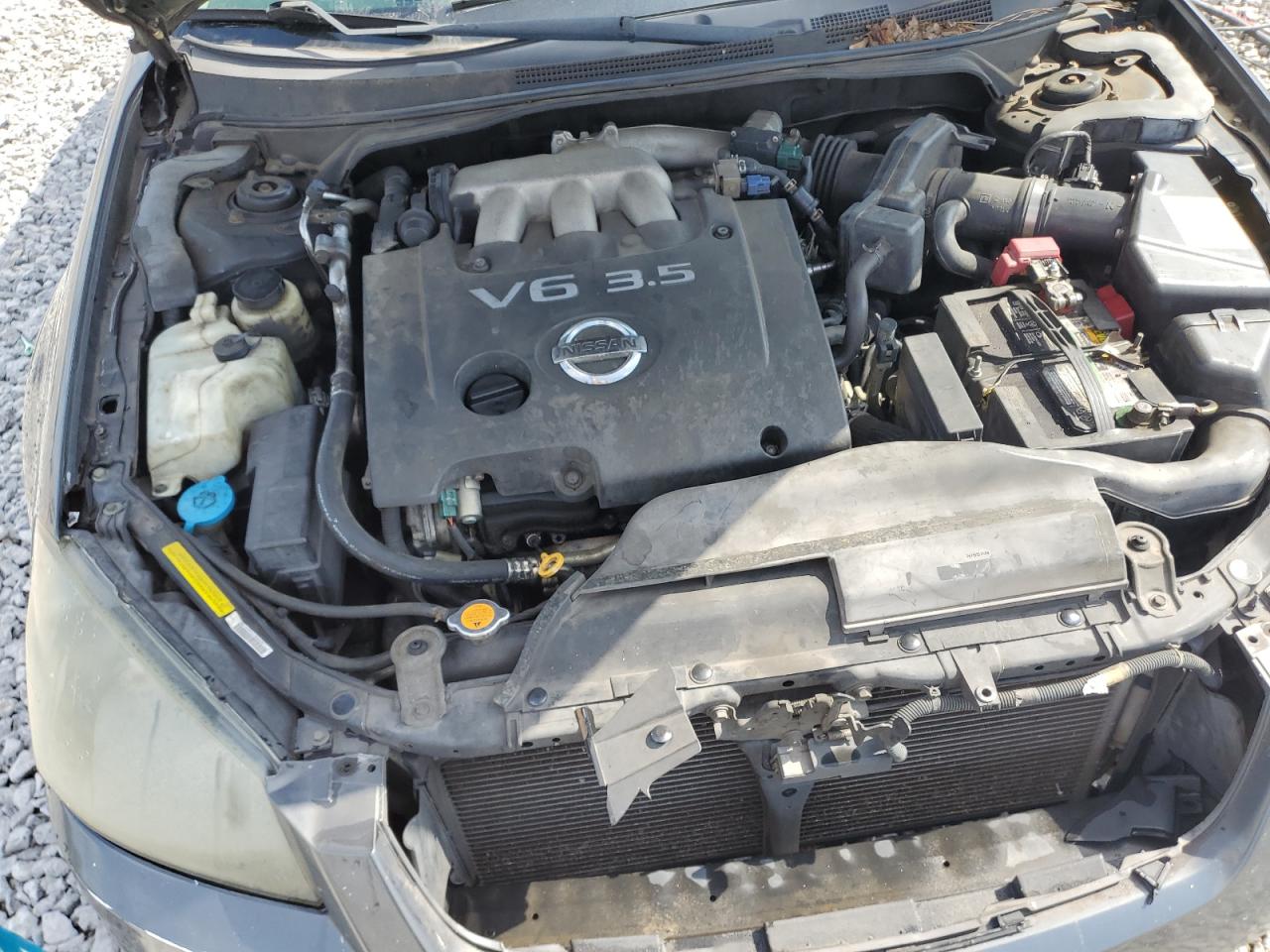 2006 Nissan Altima Se VIN: 1N4BL11E86C264984 Lot: 84452485