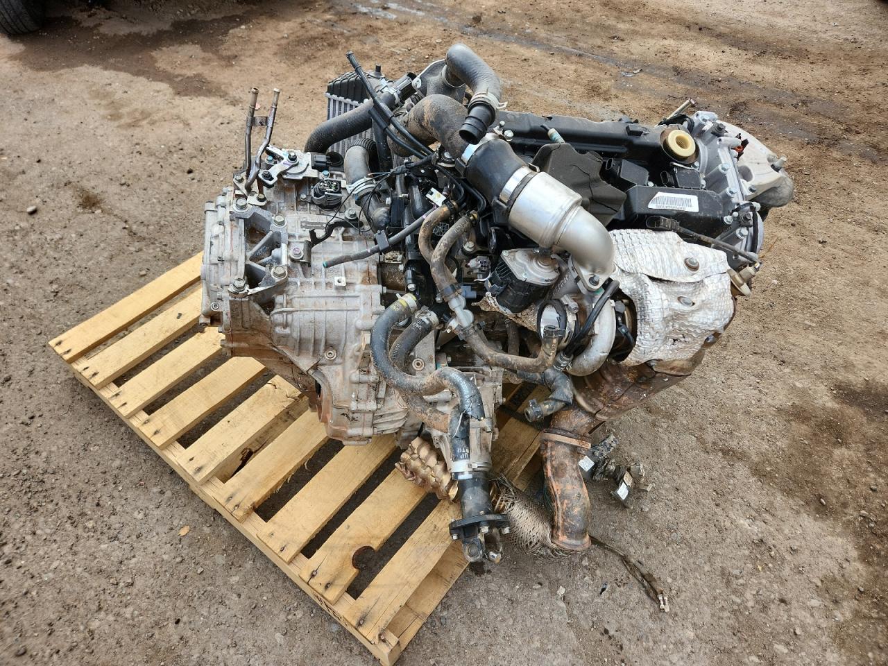 2019 Hyundai Santa Fe Limited VIN: 5NMS5CAA0KH055229 Lot: 71199305