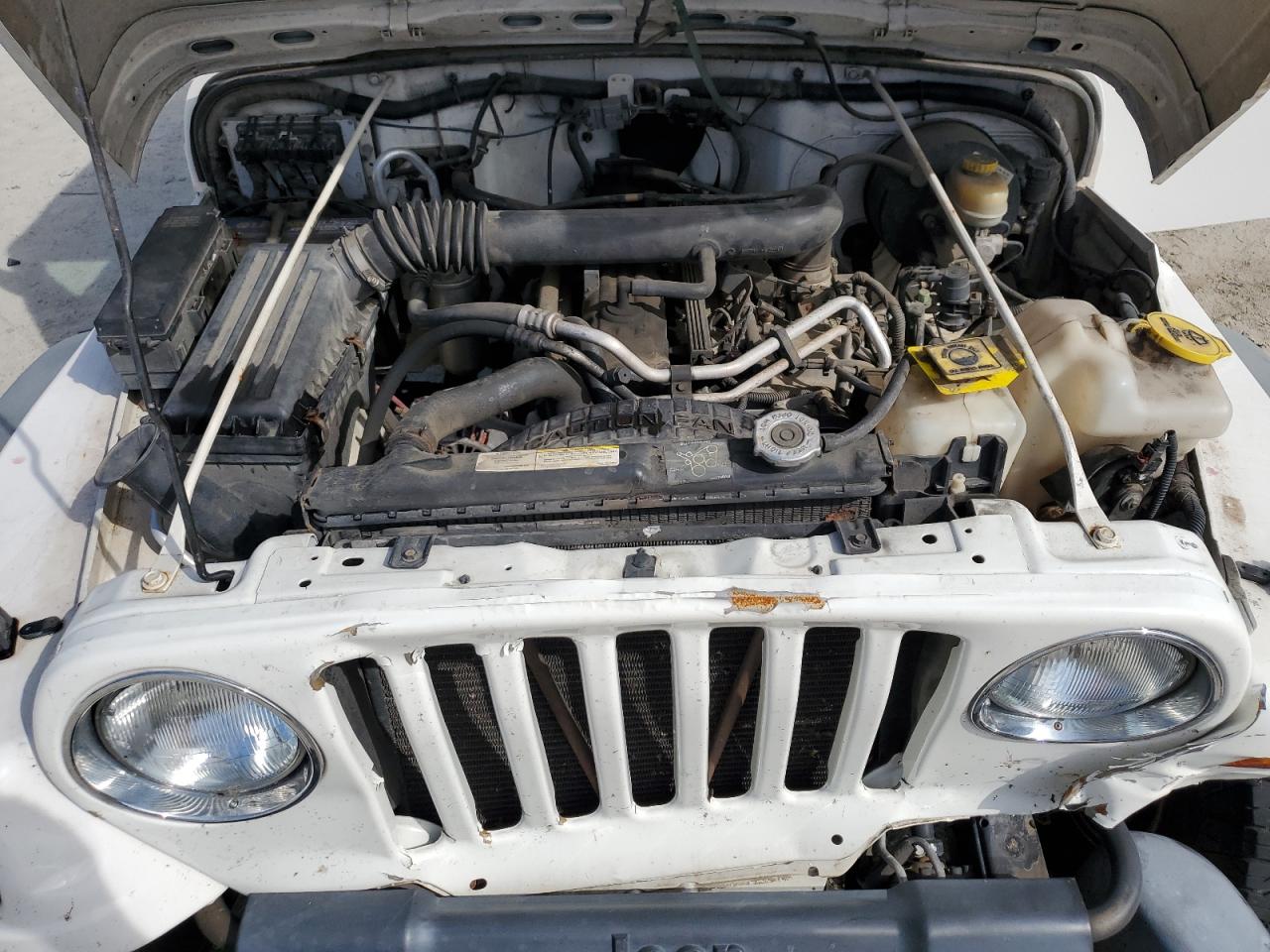 2003 Jeep Wrangler Commando VIN: 1J4FA39S83P327054 Lot: 80675625