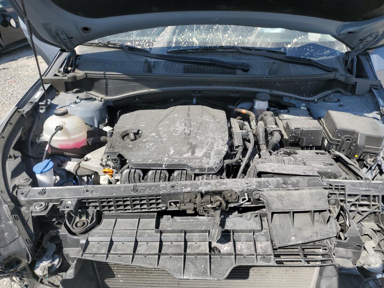 2023 Kia Sportage Ex VIN: 5XYK3CAF8PG021915 Lot: 80621545