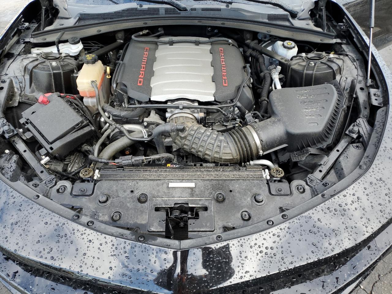 2019 Chevrolet Camaro Ss VIN: 1G1FE1R72K0111422 Lot: 80393475