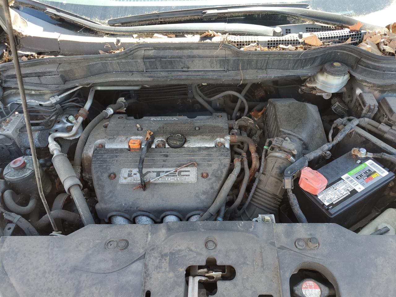 2008 Honda Cr-V Exl VIN: JHLRE48778C014928 Lot: 81522345