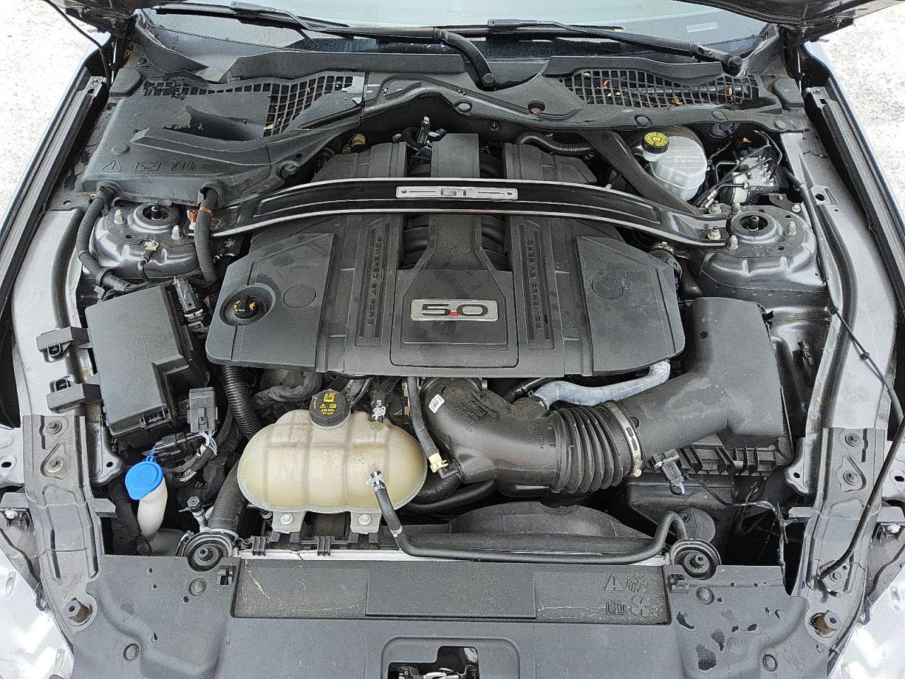 2021 Ford Mustang Gt VIN: 1FA6P8CF6M5117388 Lot: 70555935