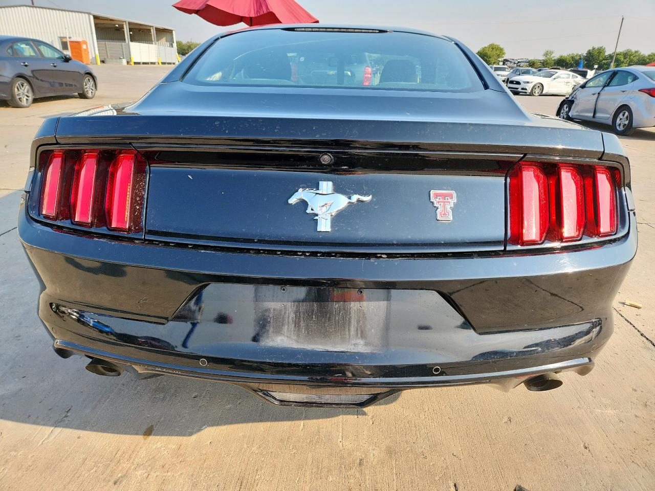 2017 Ford Mustang VIN: 1FA6P8AM5H5290679 Lot: 81404435