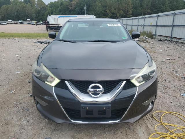  NISSAN MAXIMA 2016 Серый