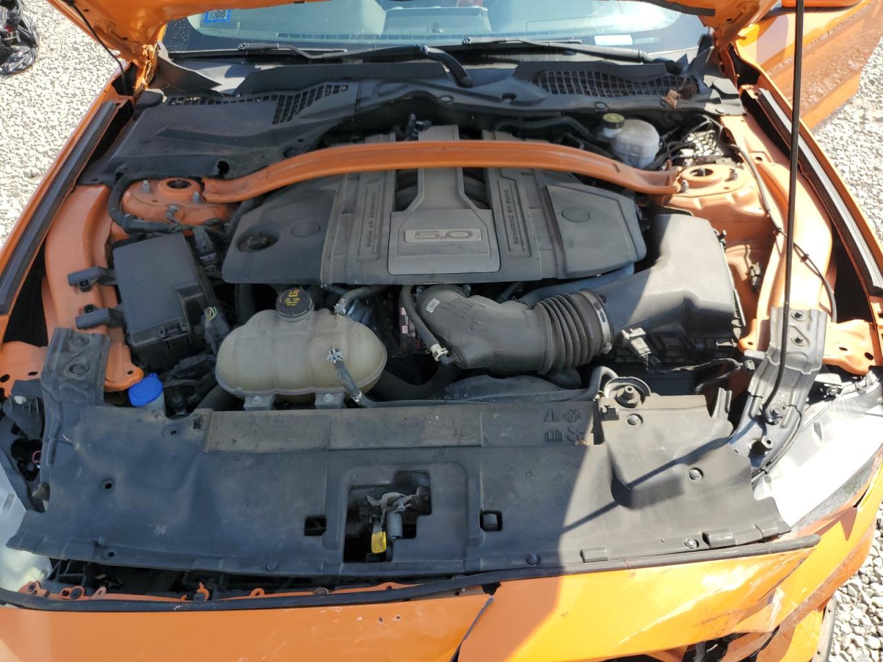 2020 Ford Mustang Gt VIN: 1FA6P8CF9L5126701 Lot: 81206505