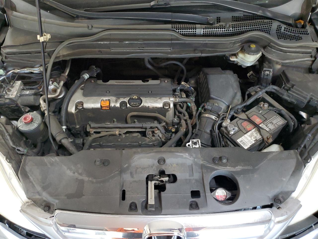 2007 Honda Cr-V Exl VIN: JHLRE48707C037367 Lot: 81550405