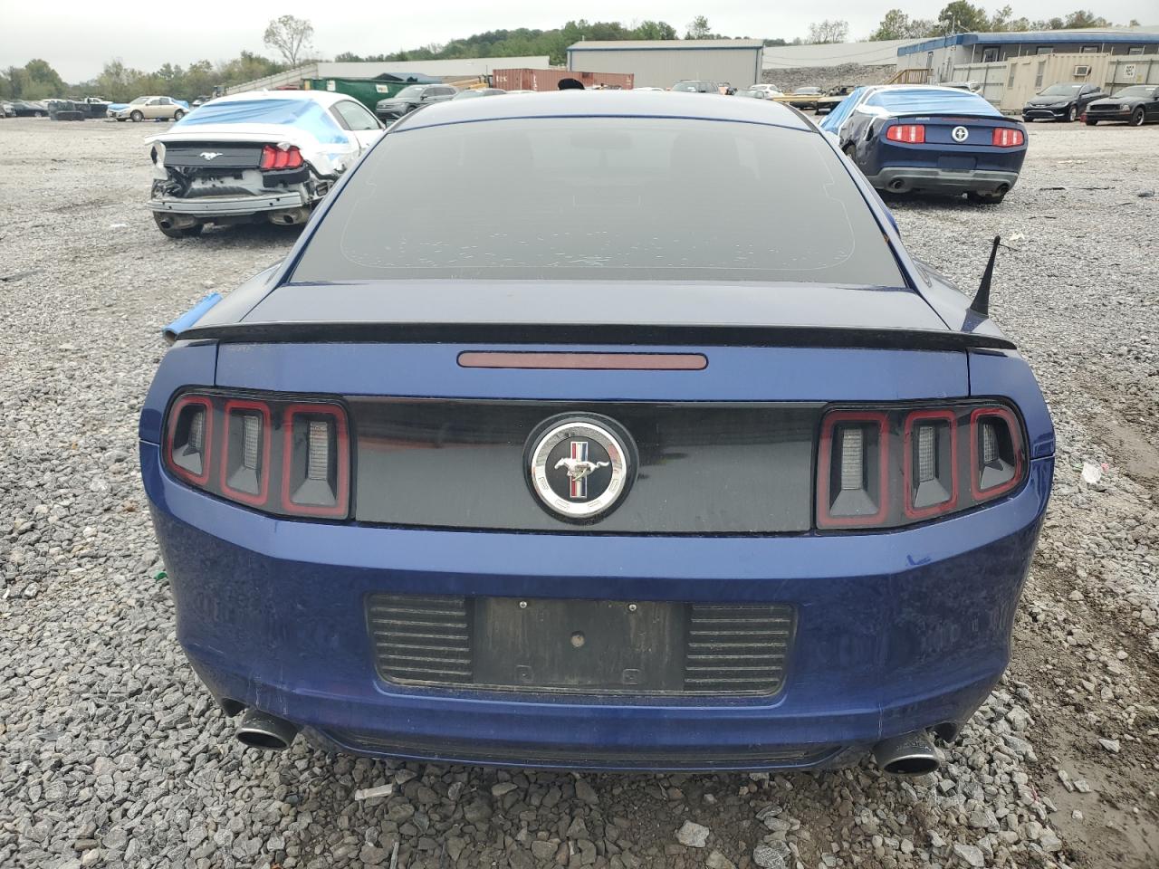 2014 Ford Mustang VIN: 1ZVBP8AMXE5325007 Lot: 81821815