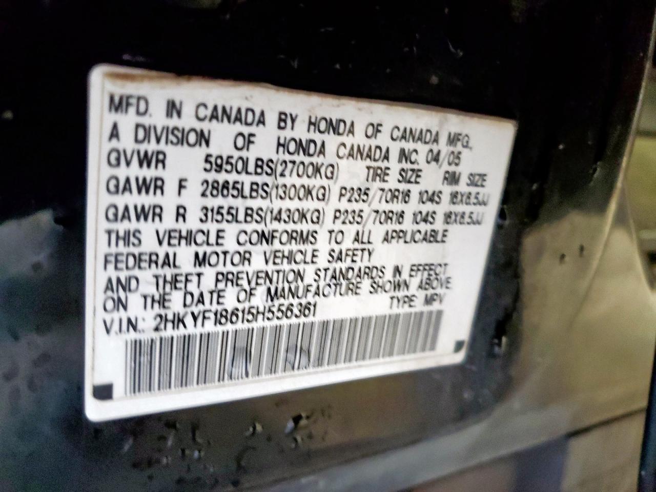 2005 Honda Pilot Exl VIN: 2HKYF18615H556361 Lot: 83850455