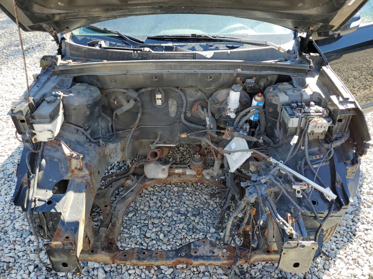 2011 Kia Sorento Base VIN: 5XYKTDA12BG113329 Lot: 80909905