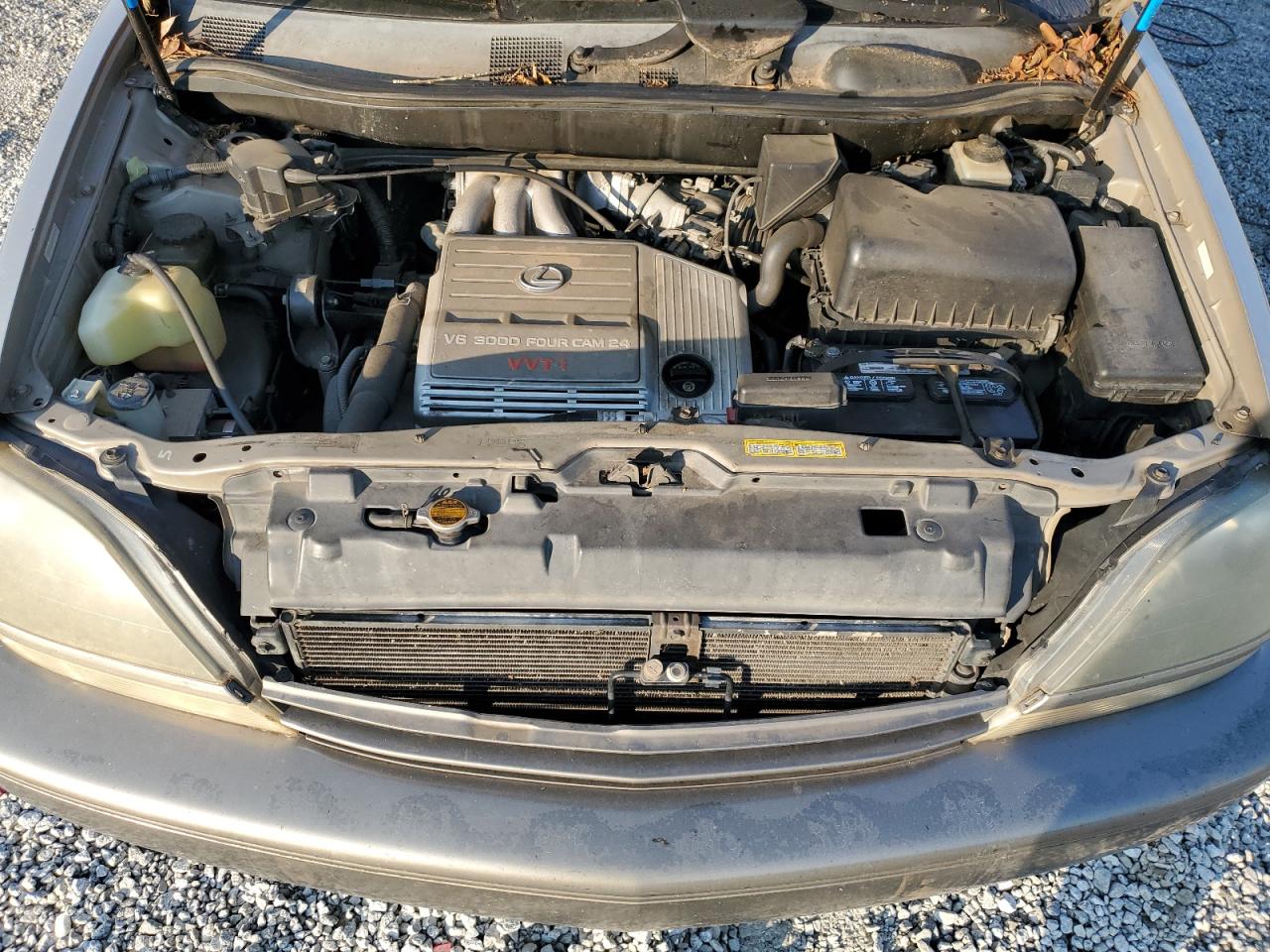 1999 Lexus Rx 300 VIN: JT6HF10U4X0058933 Lot: 80376025