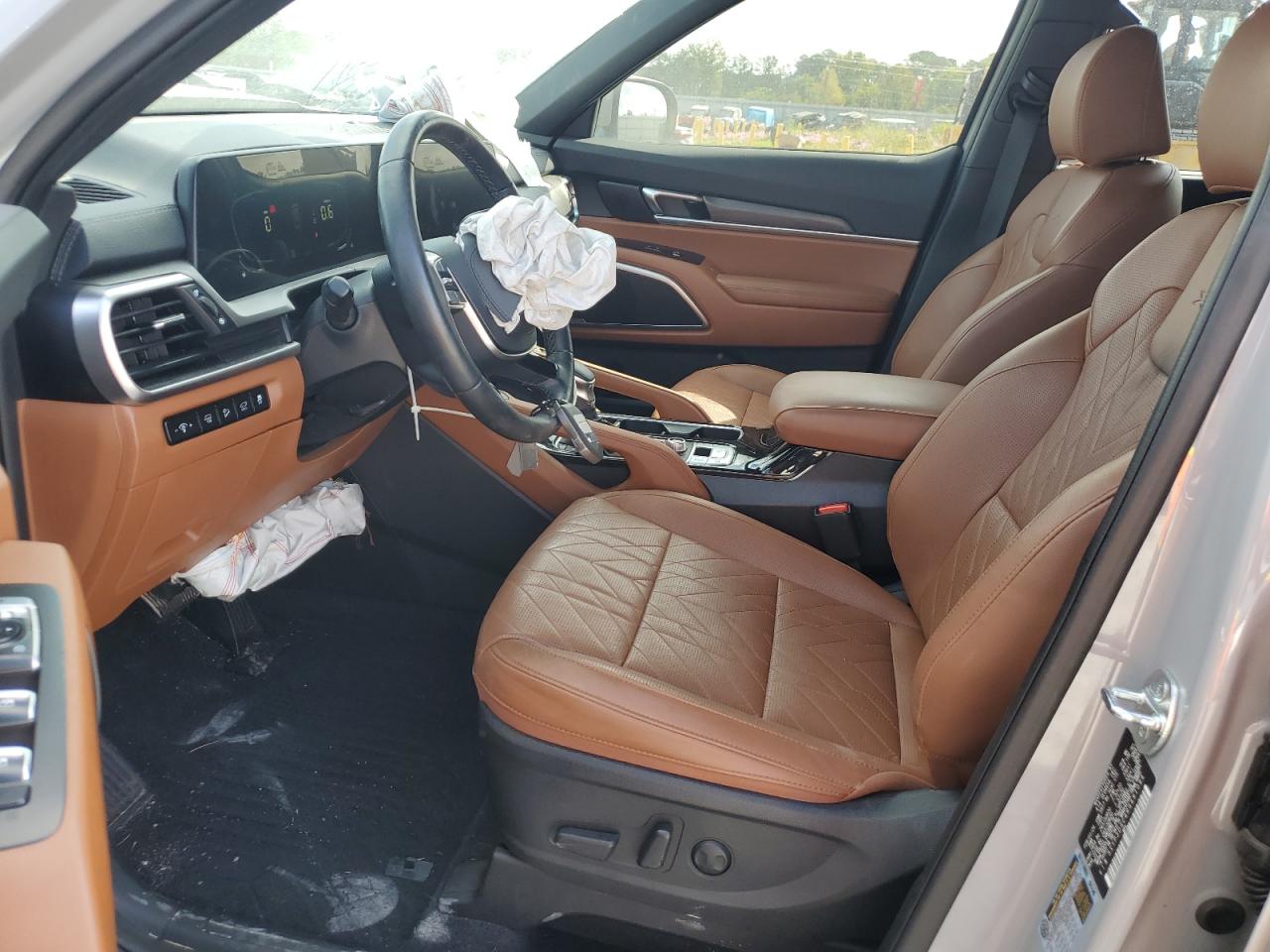 2024 Kia Telluride Ex VIN: 5XYP3DGC4RG491094 Lot: 81747235