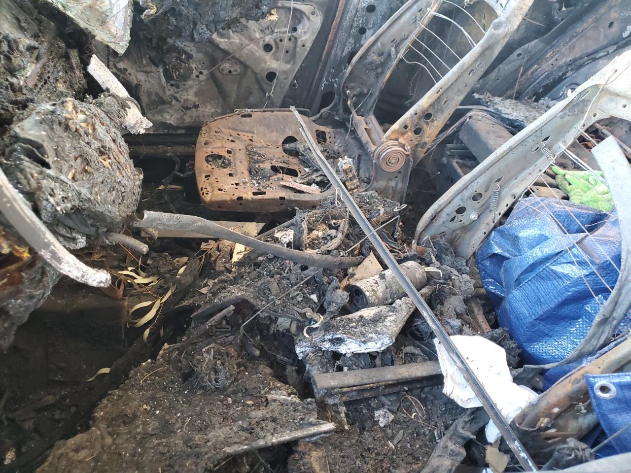 2011 Volkswagen Tiguan S VIN: WVGBV7AX0BW556285 Lot: 81702555