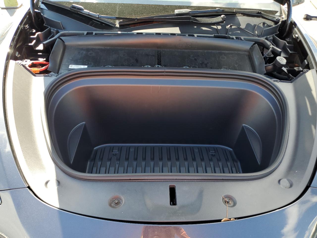 2025 Tesla Model Y VIN: 7SAYGDED8SA356217 Lot: 80887275