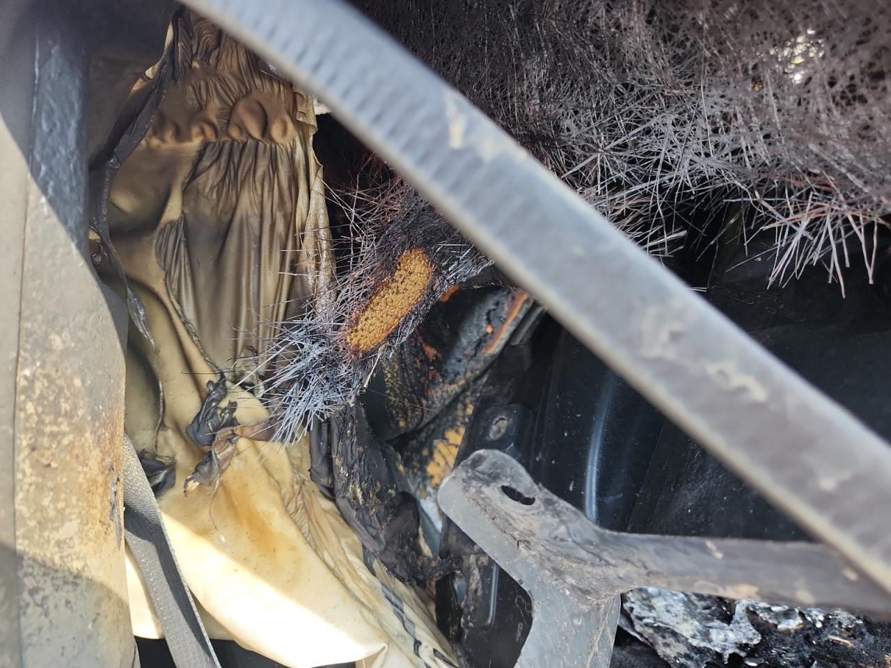 2022 Toyota Gr 86 VIN: JF1ZNBC14N8755188 Lot: 90631925