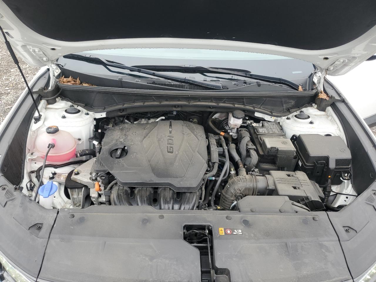 2024 Hyundai Tucson Sel VIN: 5NMJBCDE9RH411707 Lot: 81088855