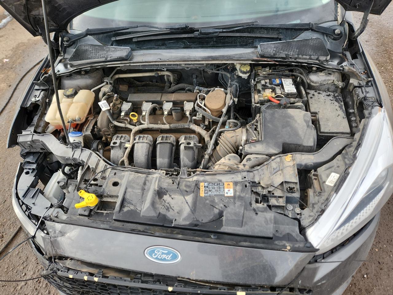 2015 Ford Focus Se VIN: 1FADP3K2XFL313485 Lot: 81313295