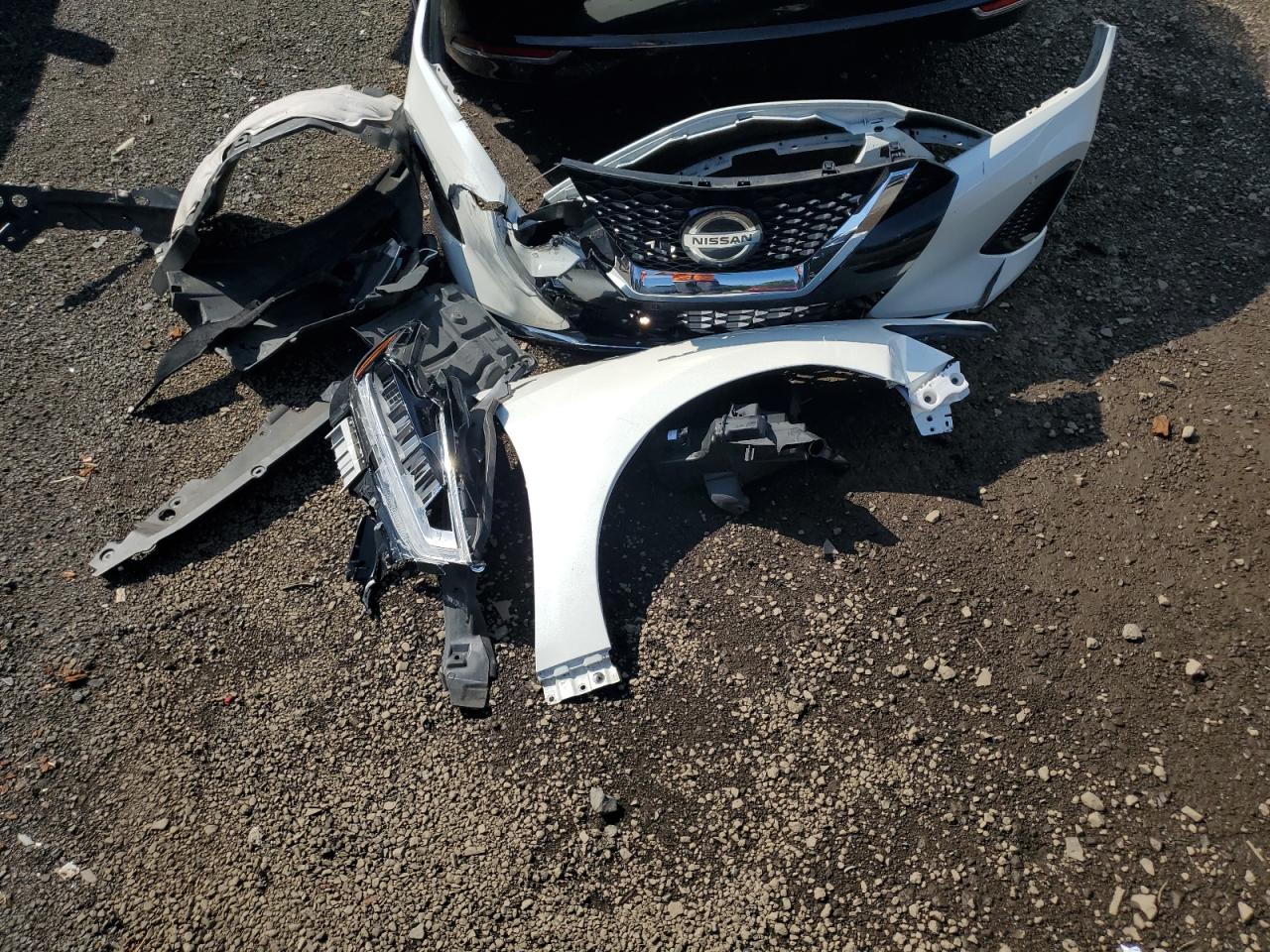 2020 Nissan Maxima Sl VIN: 1N4AA6DV2LC381241 Lot: 80409795
