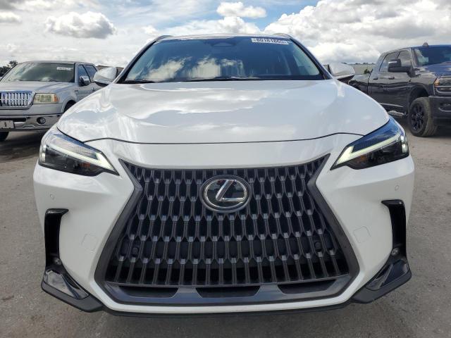  LEXUS NX 350 PRE 2024 Белы
