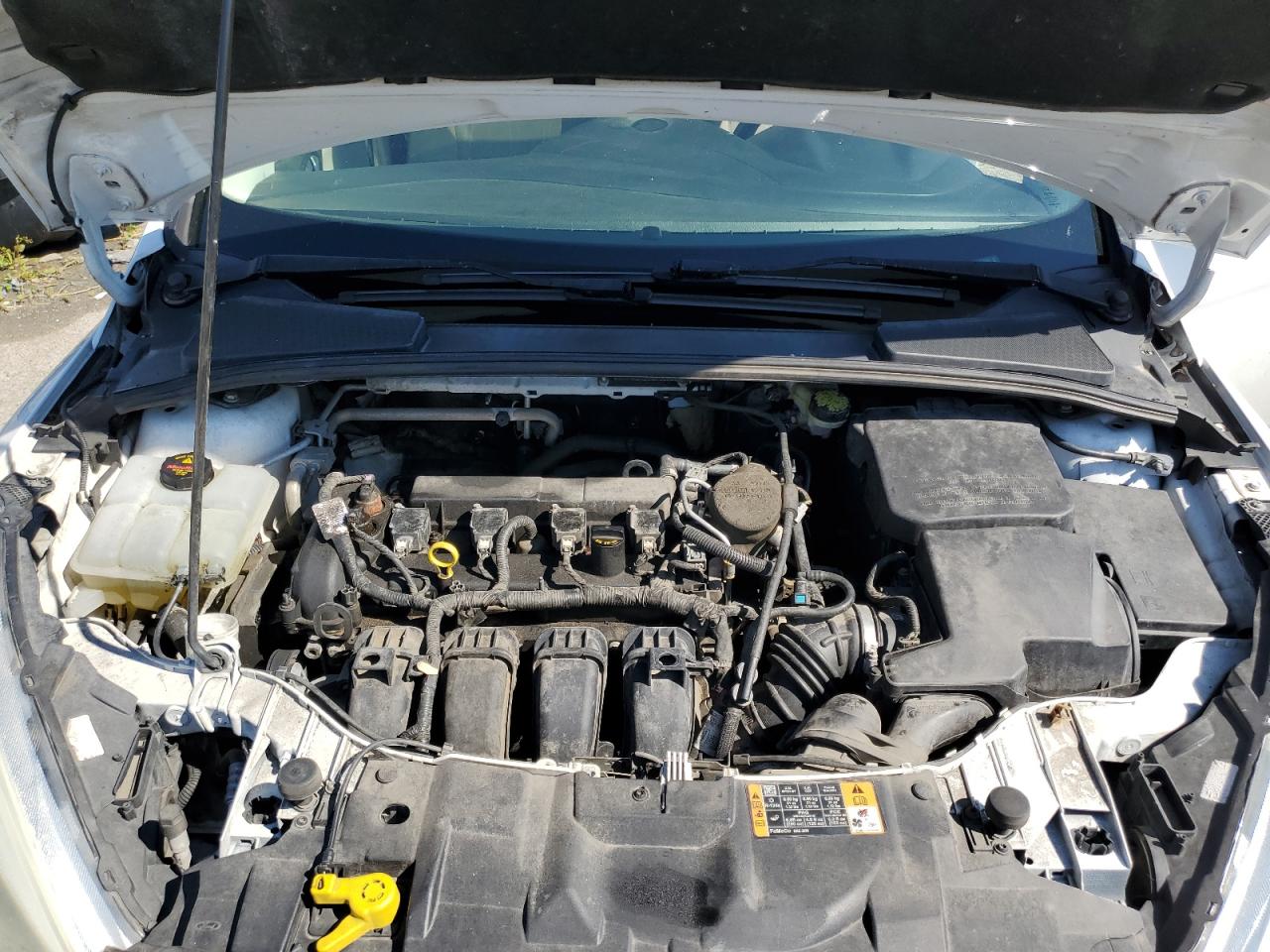 2016 Ford Focus Se VIN: 1FADP3K28GL276681 Lot: 80495455