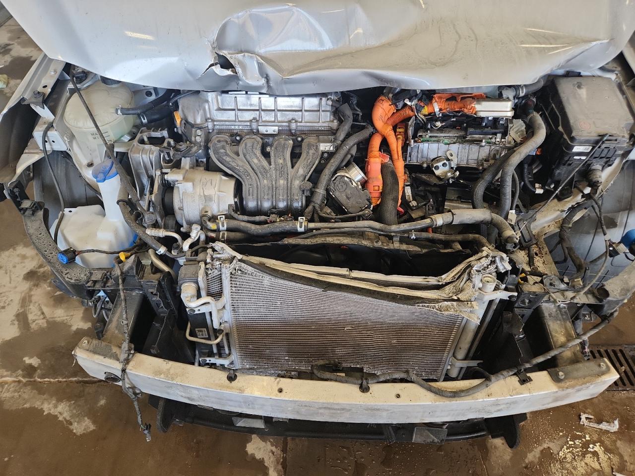 2020 Hyundai Ioniq Se VIN: KMHC75LC7LU195809 Lot: 81195365