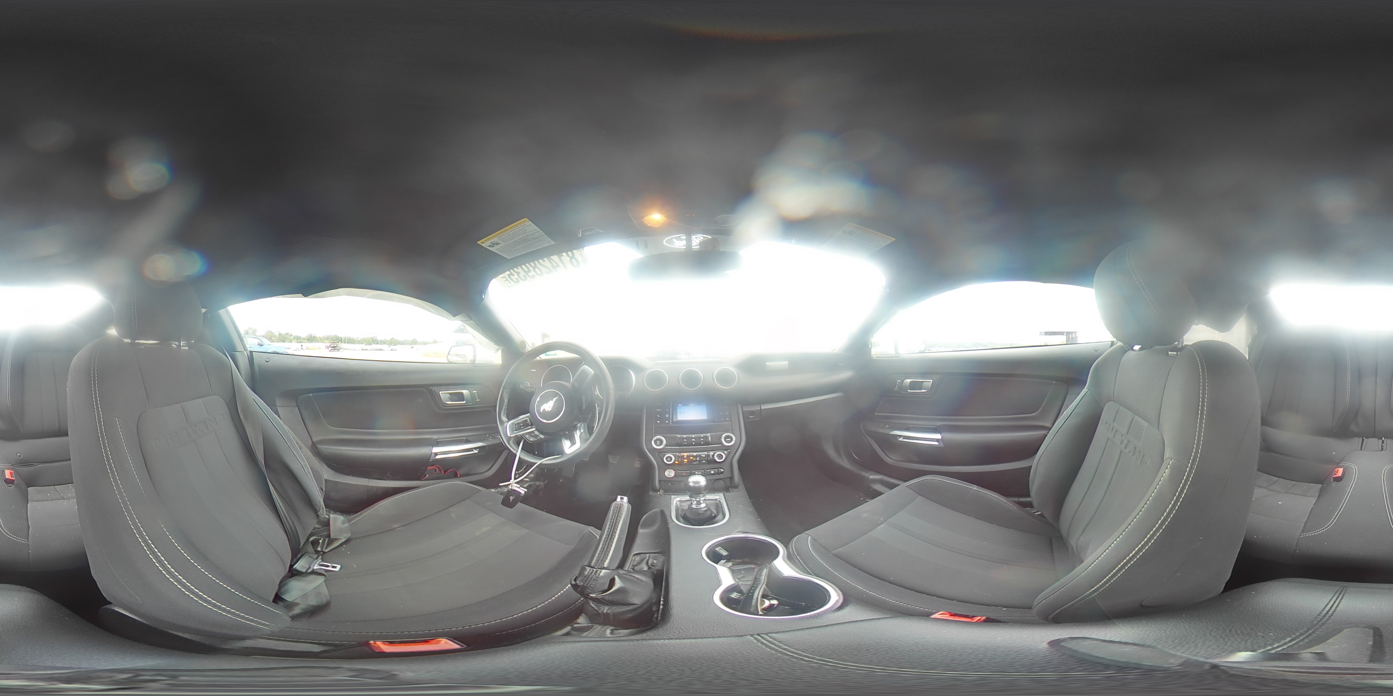 2019 Ford Mustang VIN: 1FA6P8THXK5143331 Lot: 81428935