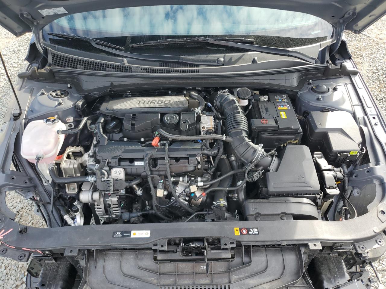 2024 Hyundai Elantra N Line VIN: KMHLR4DF6RU725936 Lot: 81719005