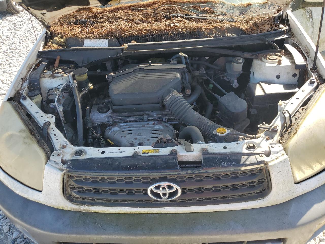 2001 Toyota Rav4 VIN: JTEHH20V310125493 Lot: 84205965