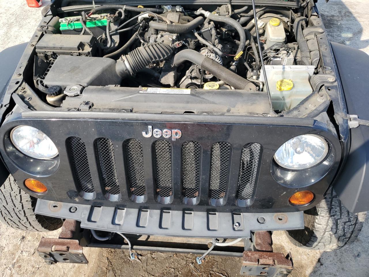 2008 Jeep Wrangler Unlimited X VIN: 1J4GA391X8L616091 Lot: 71962505