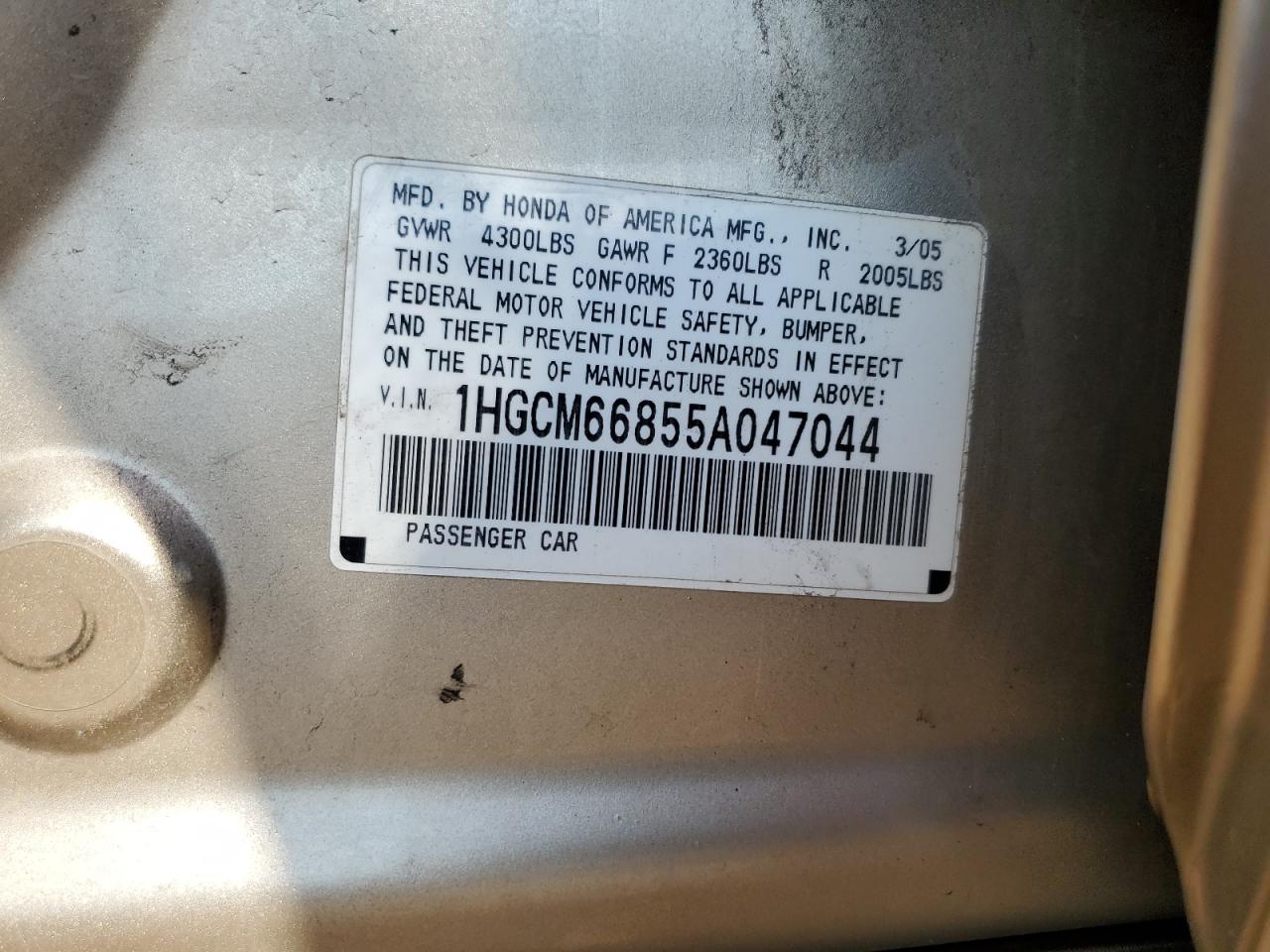 2005 Honda Accord Ex VIN: 1HGCM66855A047044 Lot: 71527995