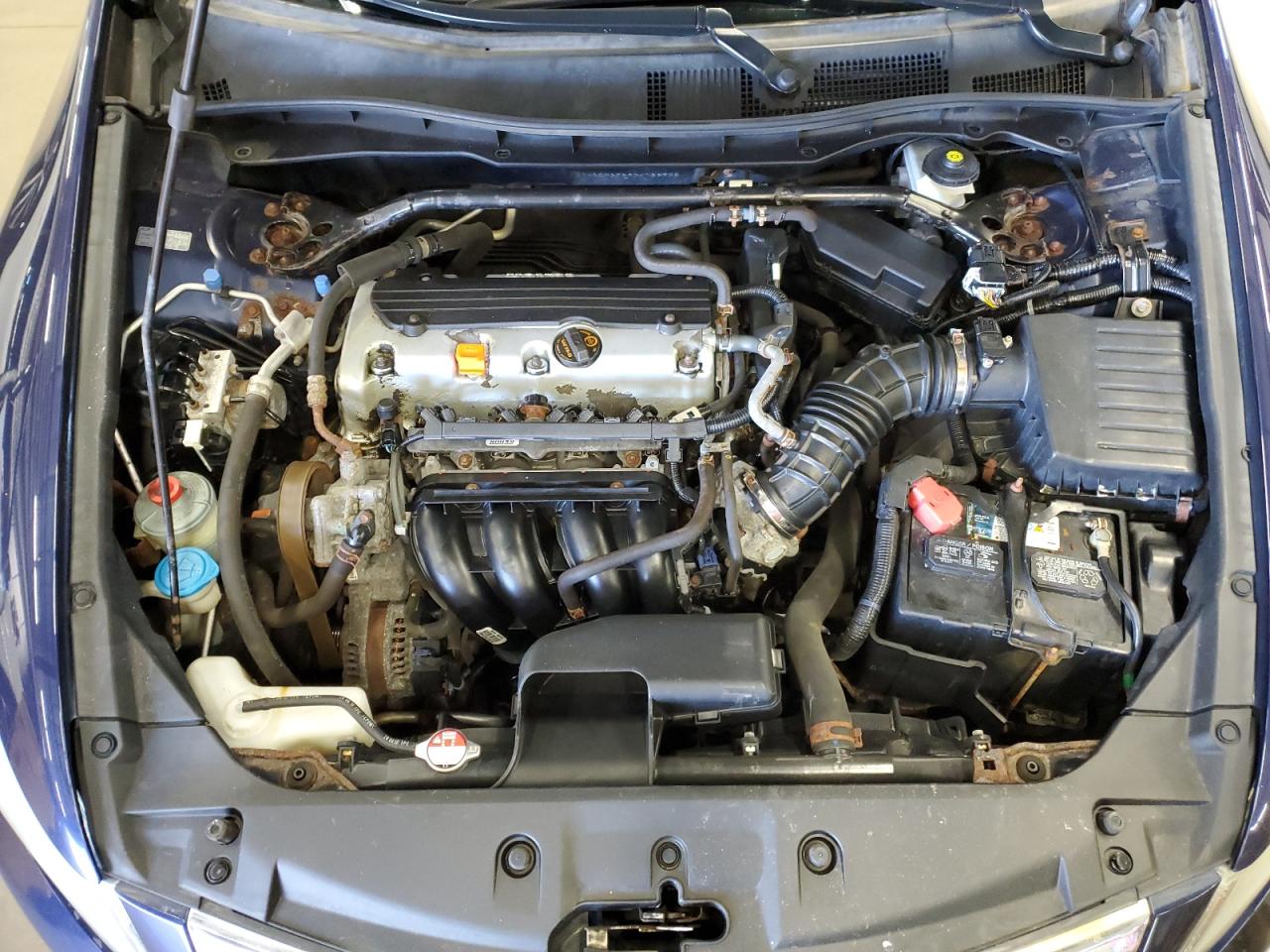 2011 Honda Accord Exl VIN: 1HGCP2F89BA026905 Lot: 81444325