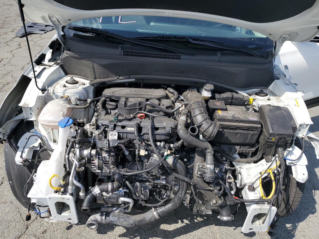 2024 Kia Seltos X Line VIN: KNDEUCA70R7479726 Lot: 71799795