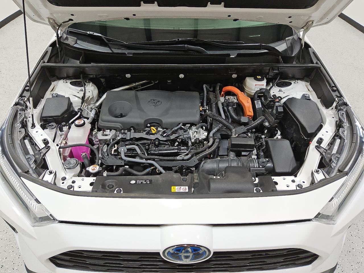 2023 Toyota Rav4 Xle VIN: JTMRWRFV0PD193735 Lot: 81216285