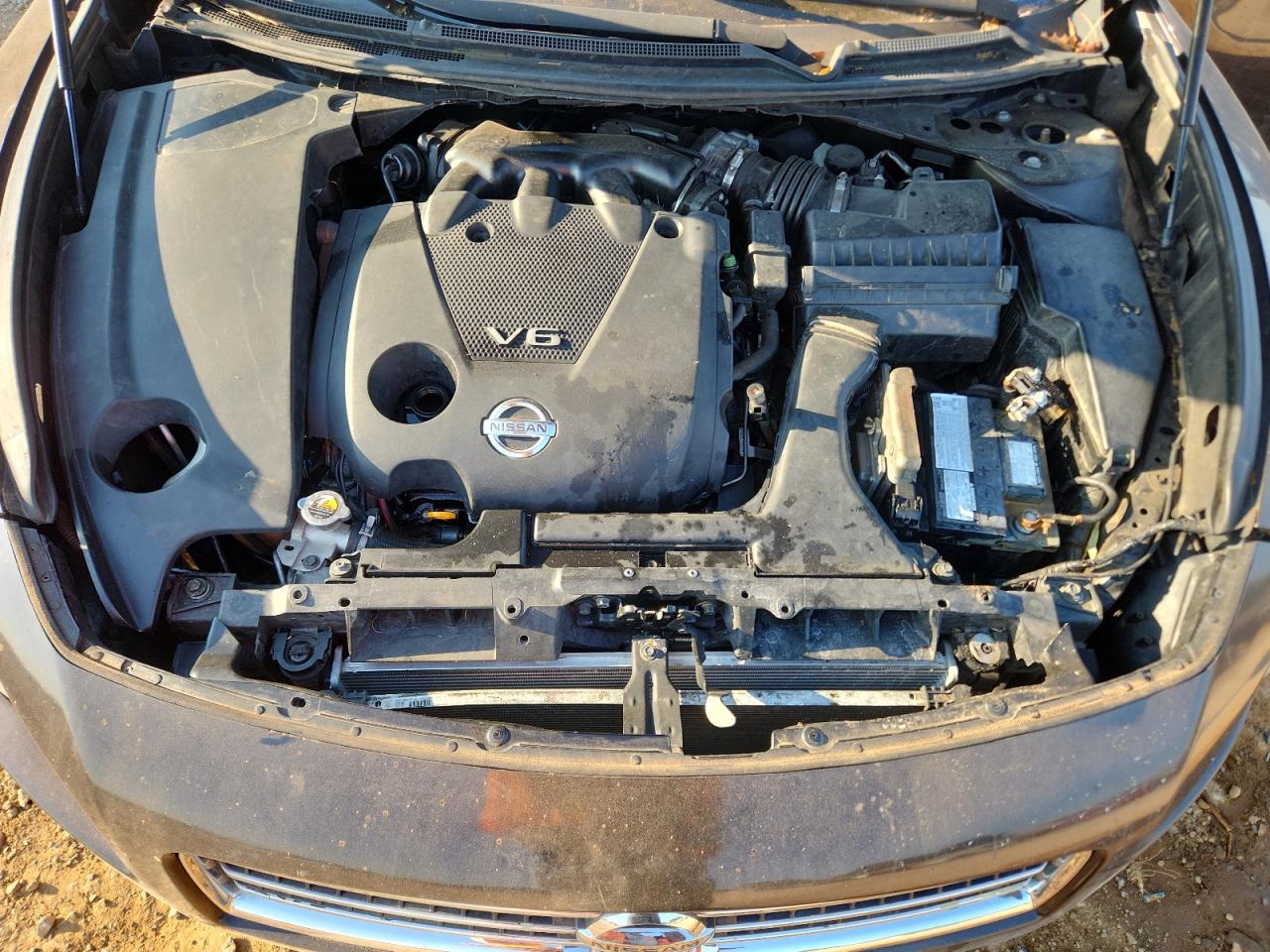 2010 Nissan Maxima S VIN: 1N4AA5APXAC858320 Lot: 80721195